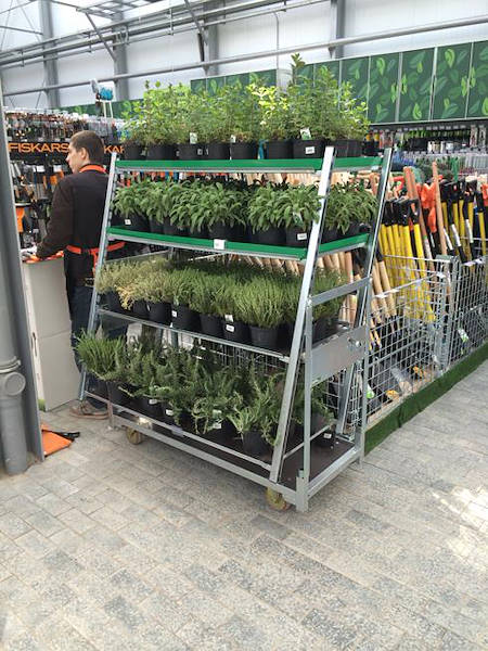 Inauguración del nuevo Centro de Jardinería Darwin