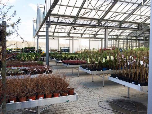 Inauguración del nuevo Centro de Jardinería Darwin