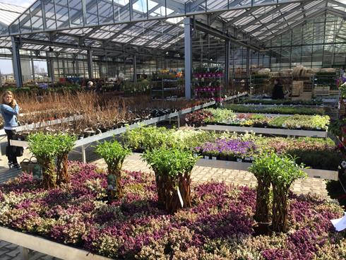 Inauguración del nuevo Centro de Jardinería Darwin