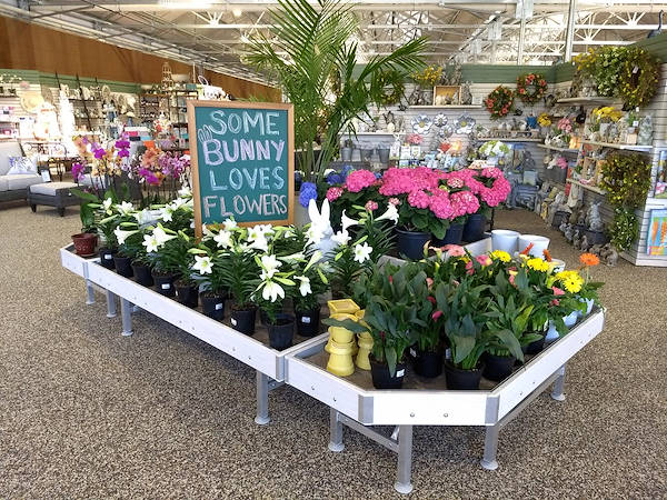 Inaugurano i nuovi Garden Center Petitti