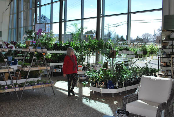 Inaugurano i nuovi Garden Center Petitti