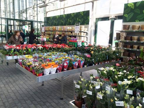Inauguration du nouveau Garden Center “Darwin”