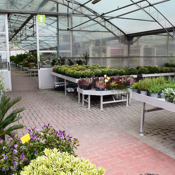 Der neue Look von Garden Frediani