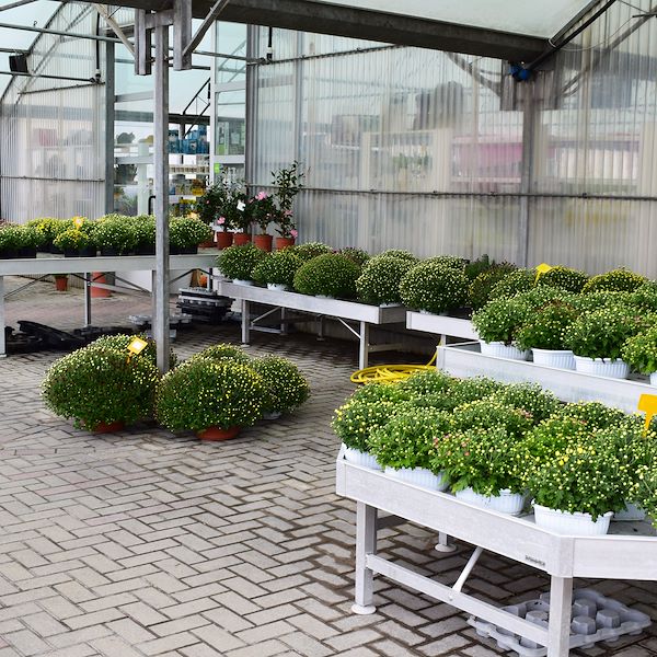 Der neue Look von Garden Frediani