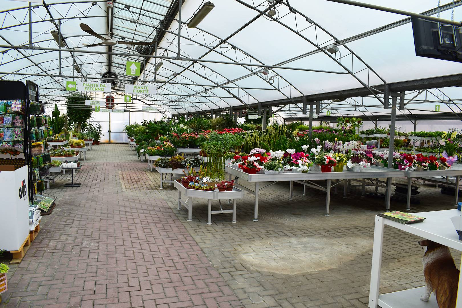 Garden Frediani: Un viaggio emozionante nel cuore della trasformazione firmata da Organizzazione Orlandelli e raccontata da Elena Tibiletti per Agricommercio & Garden Retail
