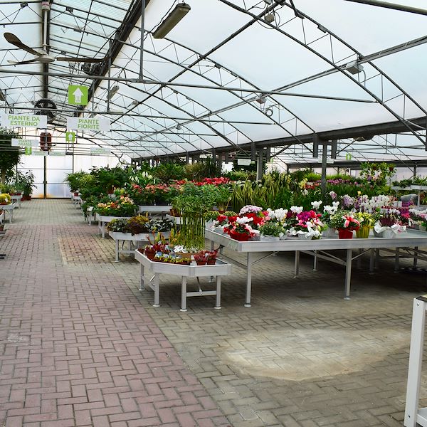 Der neue Look von Garden Frediani