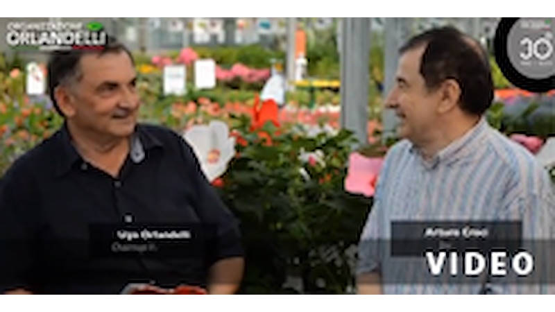 Interview with Ugo Orlandelli