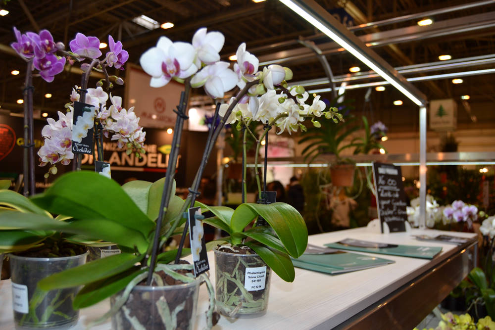 IPM Essen 2015: viele vorgestellte Neuheiten in unserem INSPIRATION CENTER