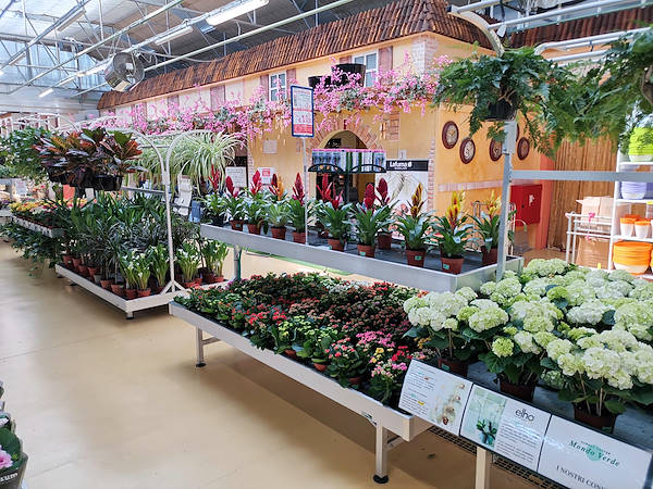 Jardinerie Mondo Verde, restyling de l’espace dédiée aux plantes d’intérieur