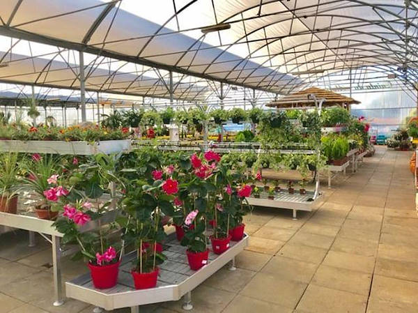 La remodelación de Alfa Garden Center en Portugal