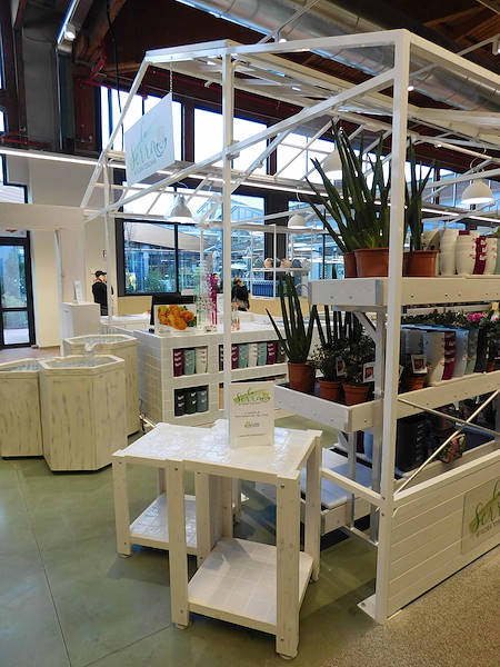 La Serra von Flora Toscana ist eröffnet