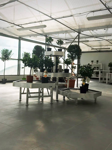 L'Az. Agr. Anania Patrizia si rifà il look: il nuovo Showroom griffato Orlandelli