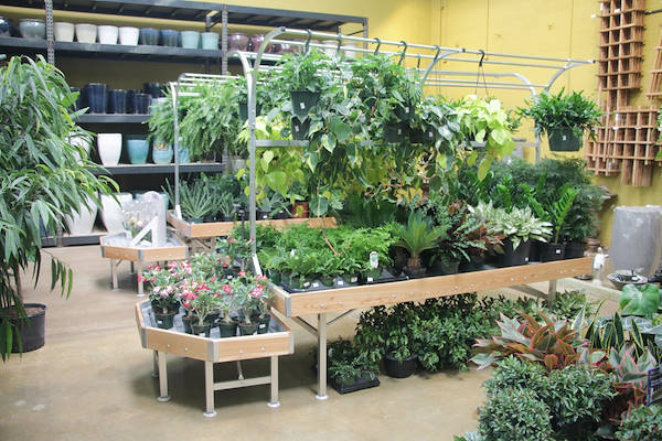 Les meubles AMOR redessinent l'espace plantes et fleurs du Centre Urban Hardware.