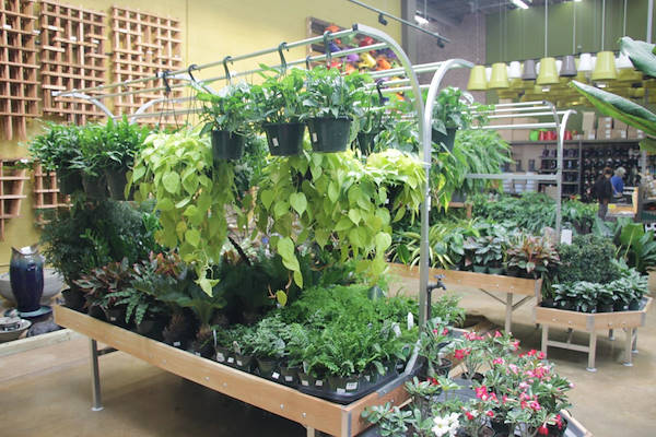 Les meubles AMOR redessinent l'espace plantes et fleurs du Centre Urban Hardware.