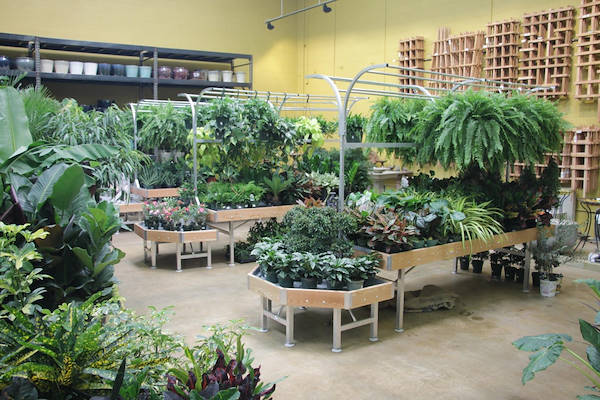 Les meubles AMOR redessinent l'espace plantes et fleurs du Centre Urban Hardware.