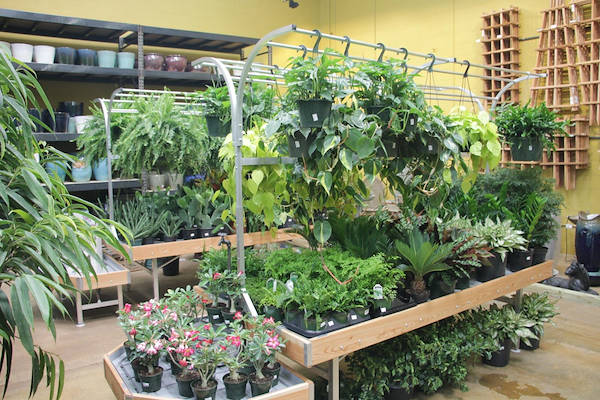 Les meubles AMOR redessinent l'espace plantes et fleurs du Centre Urban Hardware.