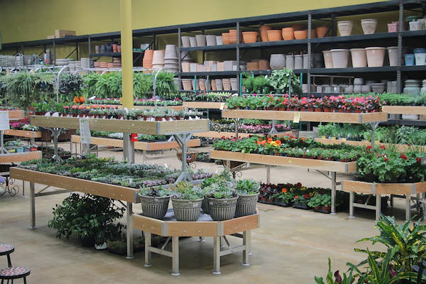 Les meubles AMOR redessinent l'espace plantes et fleurs du Centre Urban Hardware.