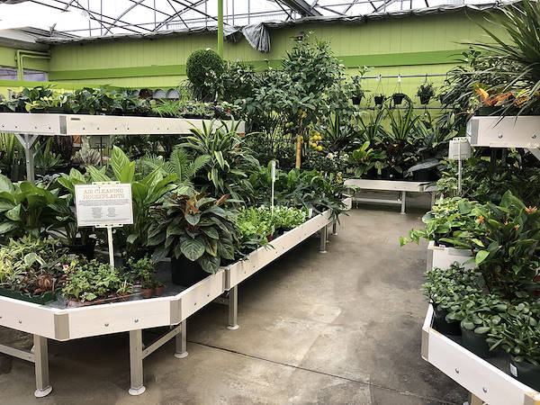 Les solutions d'exposition d'Orlandelli choisies pour rafraîchir Minter Country Garden