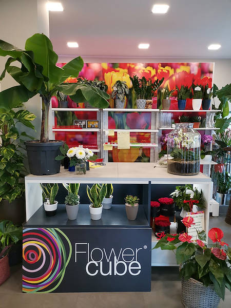 L’Oasi dei fiori a Milano si rinnova con un layout giovane ed elegante