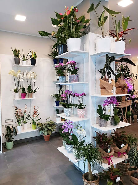 L’Oasi dei fiori a Milano si rinnova con un layout giovane ed elegante