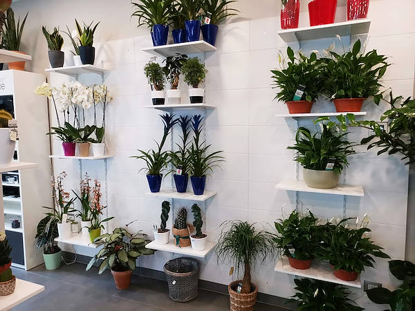 L'Oasi dei fiori de Milan fait peau neuve avec un aménagement jeune et élégant