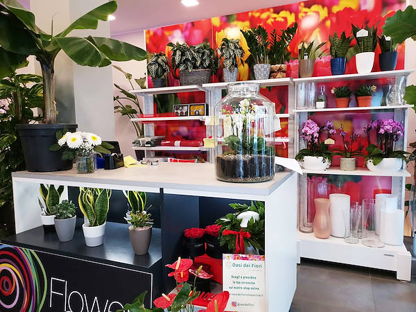 L'Oasi dei fiori de Milan fait peau neuve avec un aménagement jeune et élégant