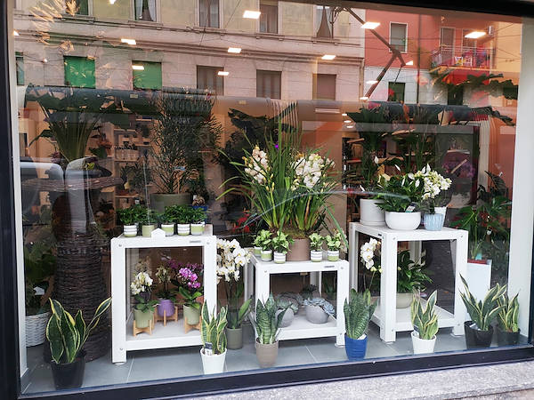 L'Oasi dei fiori de Milan fait peau neuve avec un aménagement jeune et élégant