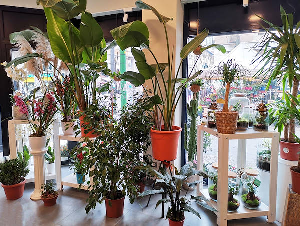 L'Oasi dei fiori de Milan fait peau neuve avec un aménagement jeune et élégant