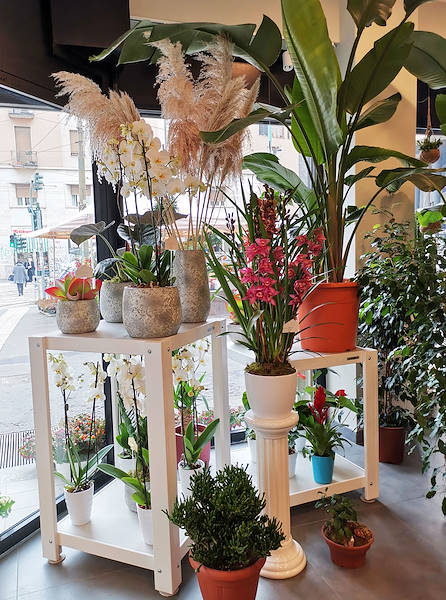 L'Oasi dei fiori de Milan fait peau neuve avec un aménagement jeune et élégant