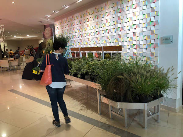 Meeting Arena Vivai