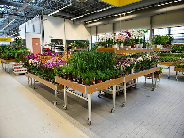 MERKUR enhances the plants and flowers department with the Orlandelli concepts