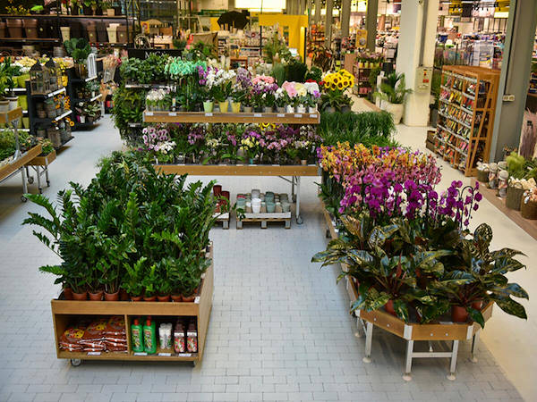 MERKUR enhances the plants and flowers department with the Orlandelli concepts