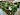 MERKUR erweitert die Pflanzen- und Blumenabteilung um die Orlandelli-Konzepte
