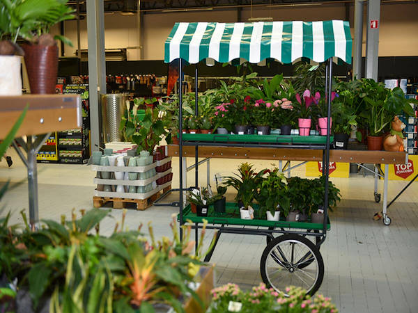 MERKUR erweitert die Pflanzen- und Blumenabteilung um die Orlandelli-Konzepte