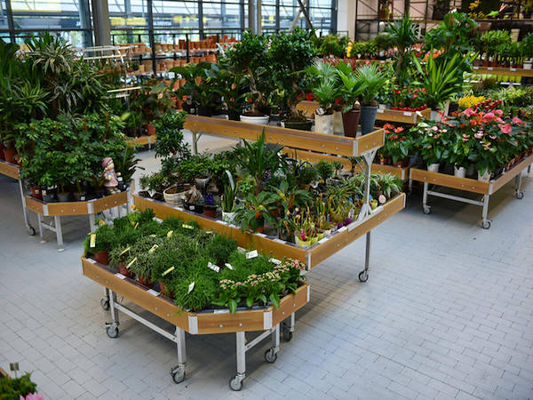 MERKUR esalta il reparto piante e fiori con i concept Orlandelli