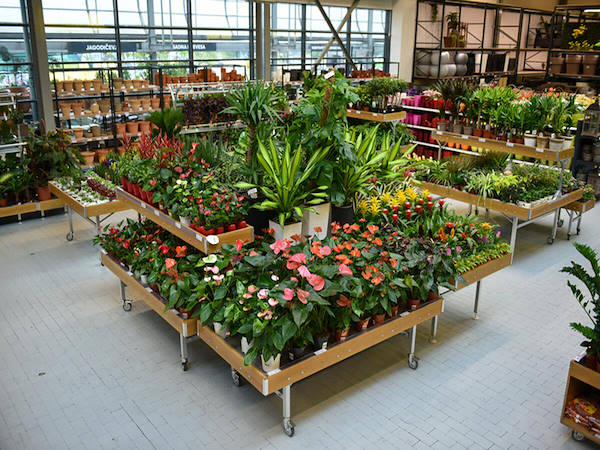 MERKUR potencia el departamento de plantas y flores con los conceptos de Orlandelli