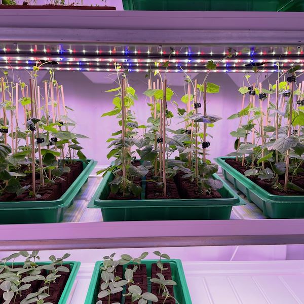 Erleben Sie den Einkaufswagen mit LED-Beleuchtung 60 Tage lang!