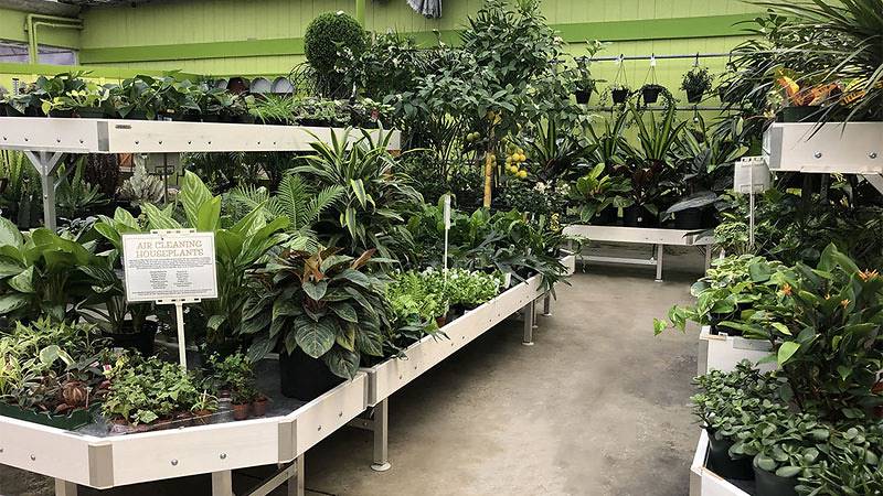 Minter Country Garden   اختيار حلول العرض في أورلانديلي لتجديد مظهر