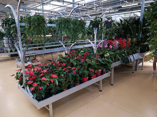 Mondo Verde Garden Center, indoor remodeling