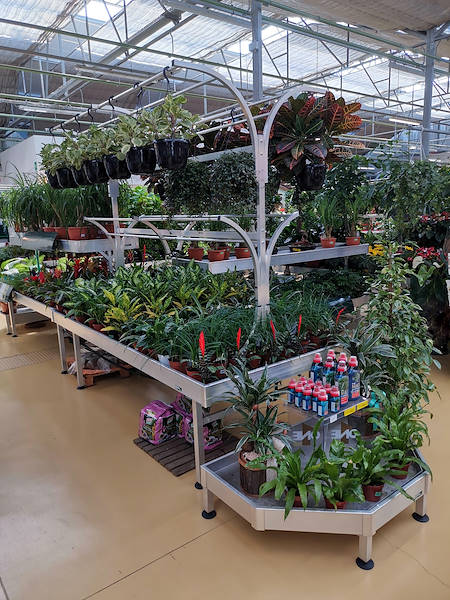Mondo Verde Garden Center, restyling dell'area dedicata alle piante da interno