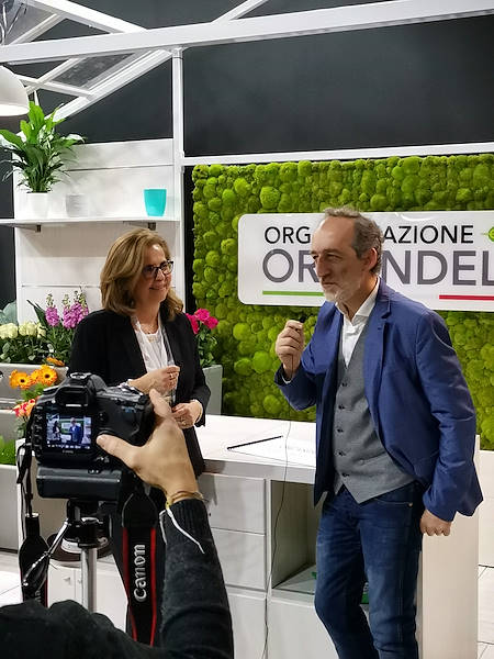 Stand Orlandelli