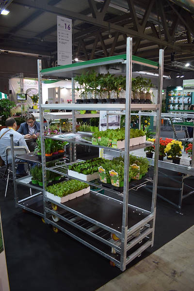 Stand Orlandelli