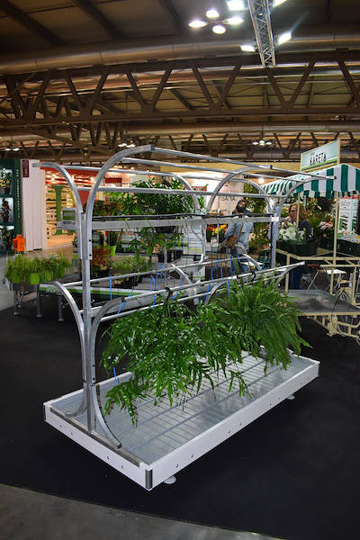 Stand Orlandelli