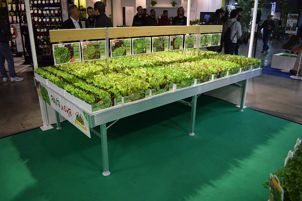 Stand Orto Mio