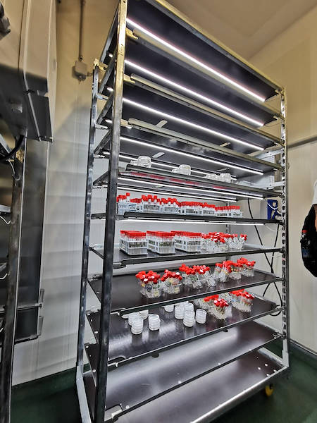 Neue Pflanzenwagen DC mit Beleuchtungsset von C-LED