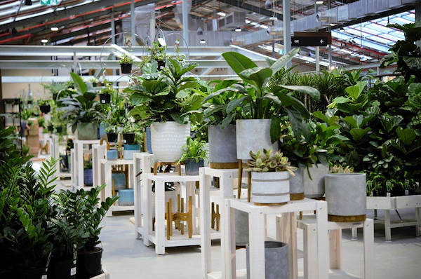 Neuer Garten Center Flower Power“