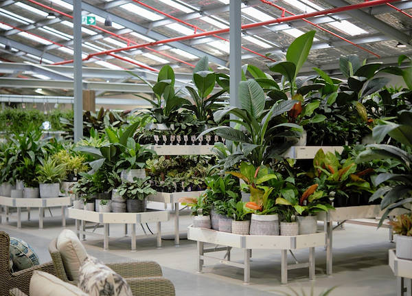 Neuer Garten Center Flower Power“