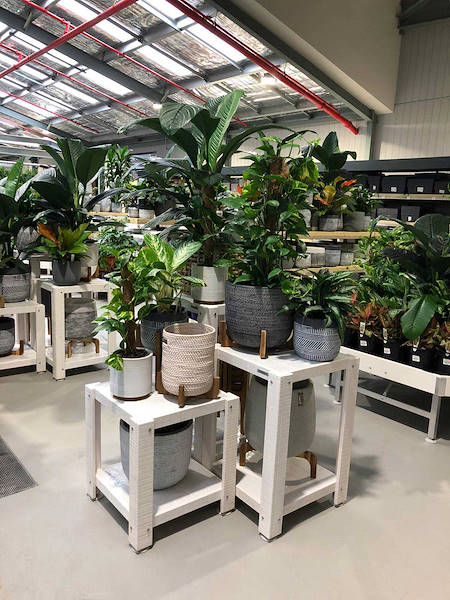 Neuer Garten Center Flower Power“