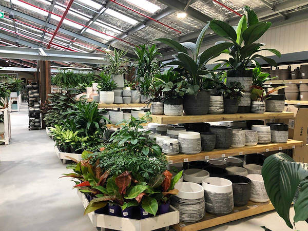 Neuer Garten Center Flower Power“