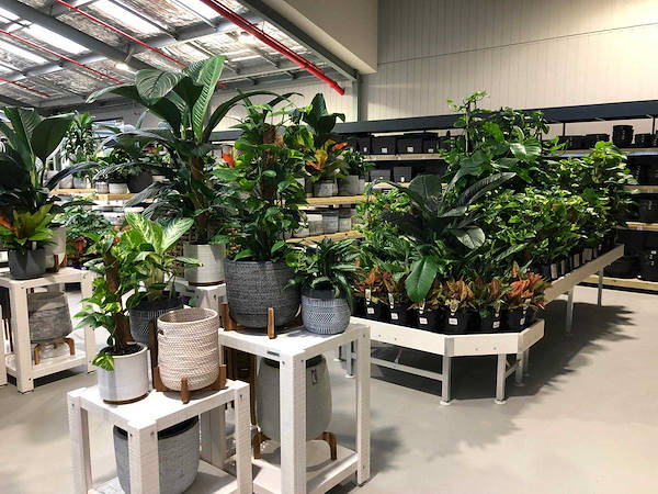 Neuer Garten Center Flower Power“